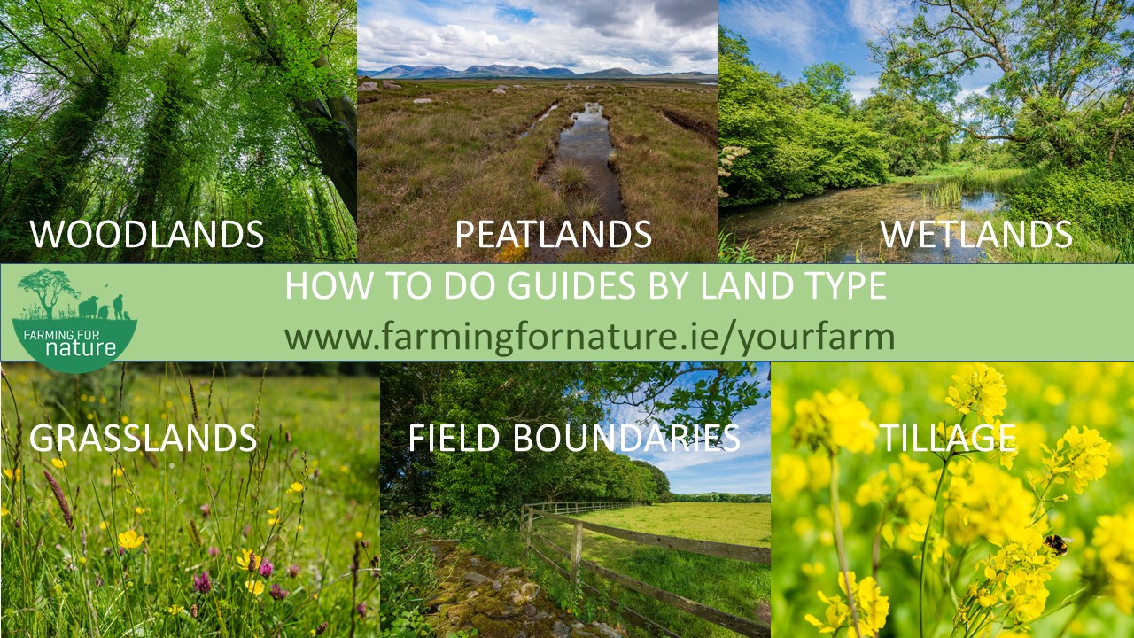 How To Do Guides Launched Farming For Nature