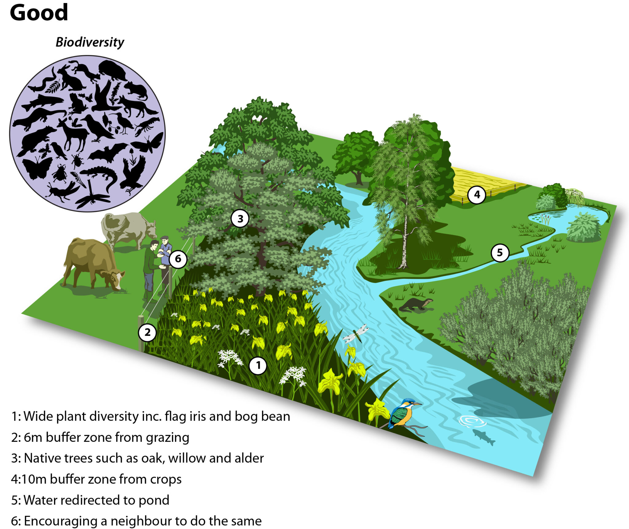 Watercourse Management Farming For Nature