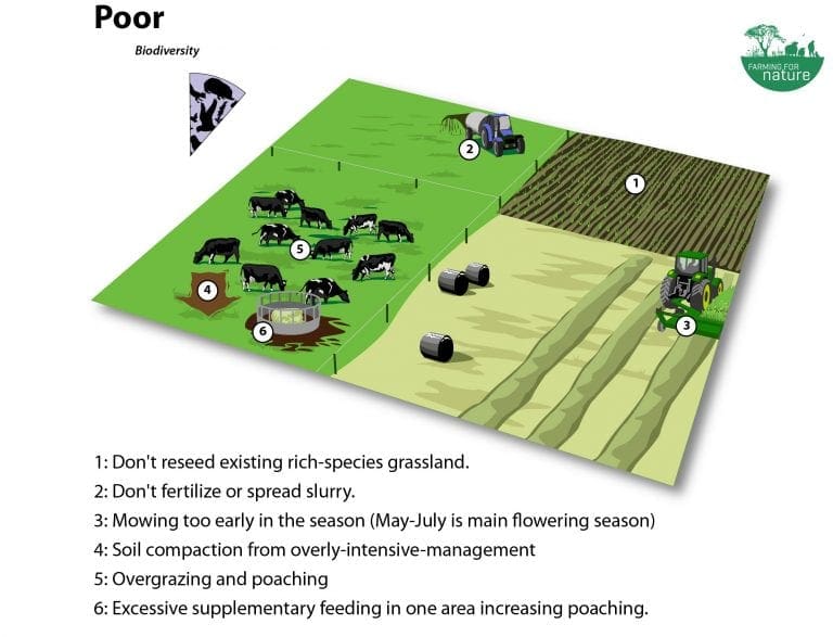 Species Rich Grasslands Management Farming For Nature