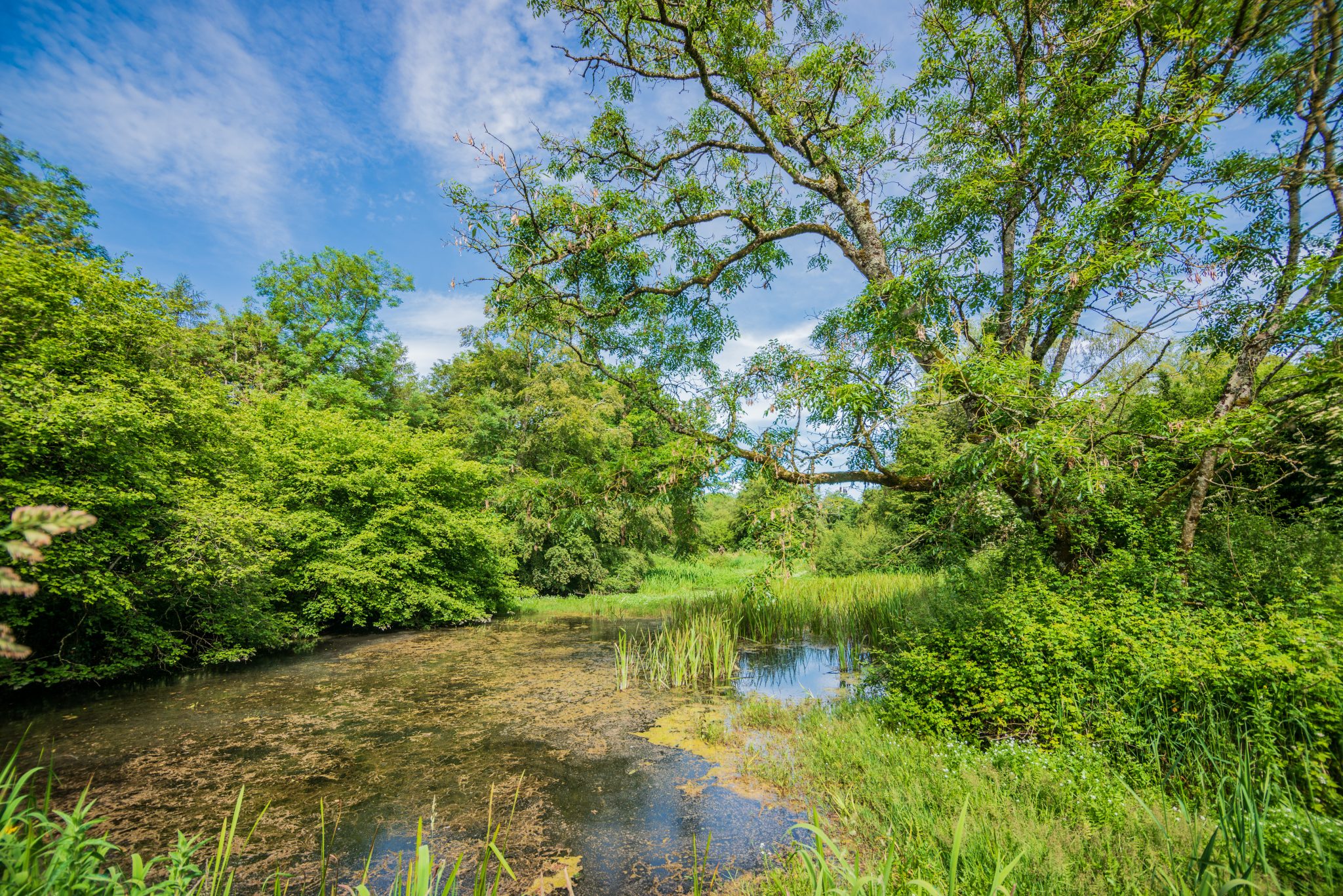 Your Farm - Farming for Nature